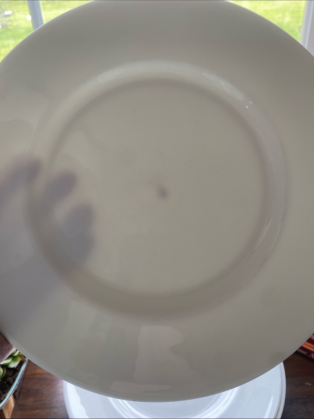 Wedgwood 11” White Plate with Gold Mark and Black Vase Logo “9 plates”